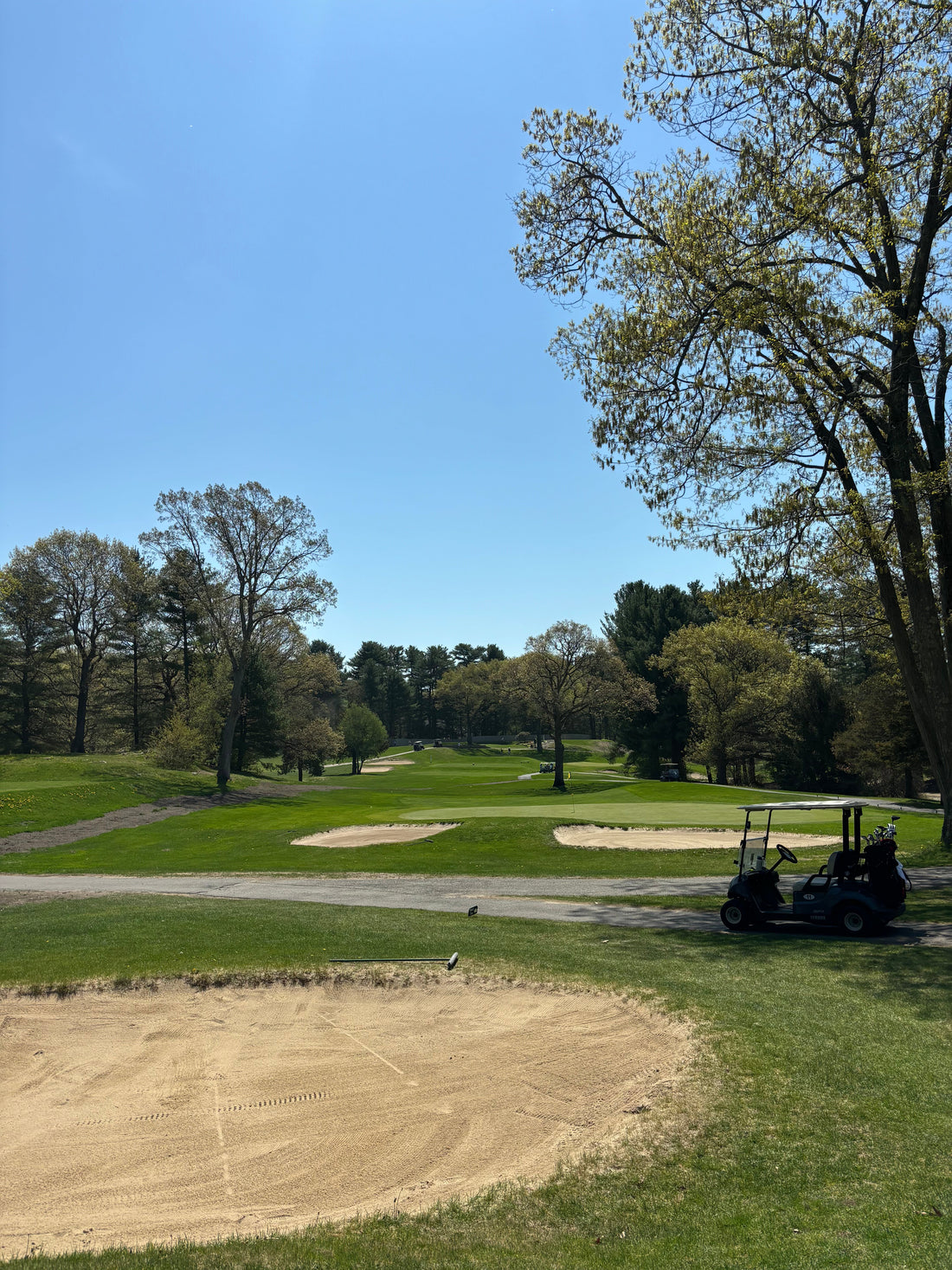 Sagamore Springs