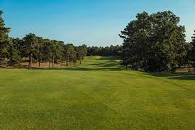 Dennis Highlands